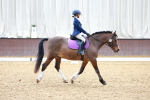 SBM_000363