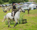 Dunblane show-441