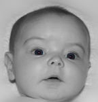 Portrait 14