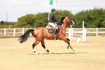 SBM_006595