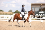 SBM_03707
