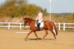 SBM_008780