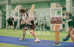 ICG Cricket-19