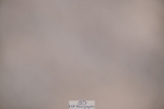 250627-201337-01479