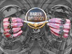 Harley Dreaming