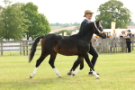 SBM_00440