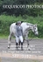 BPP_3982