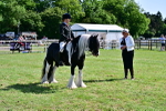 SBM_09339