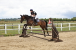 SBM_003484