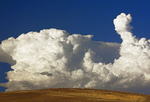 Storm Clouds and Sheep 1.