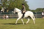 SBM_12360