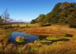 Rocher Bog (03)