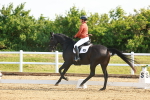 SBM_007008