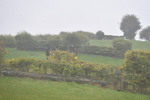 WJ5_7338