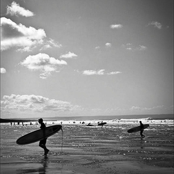 Surf & Sea portfolio