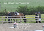 BPP_0447