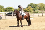 SBM_001494
