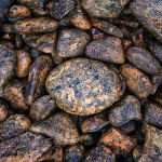 SHORE ROCK - GEORGIAN BAY
