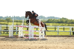 SBM_003351