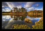 Brathay Reflections