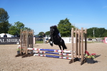 SBM_17643