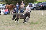 WJ6_5683