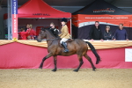 SBM_09717