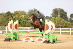 SBM_03993