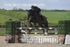 BPP_4786
