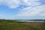 Shabla wetlands, Dobrich Province, Bulgaria