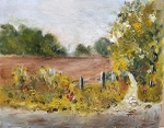 Oil Paintings portfolio