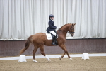 SBM_007231