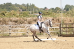 SBM_003509
