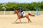 SBM_007497