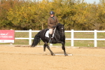 SBM_010477