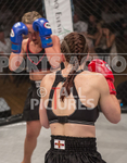 FULL BOAR CAGE FIGHTING 2015 portfolio