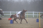 SBM_000975
