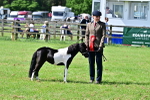 SBM_03653
