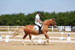SBM_010785