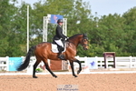 239-Lucinda.Paull-Imperatrix portfolio