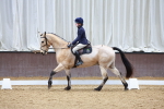 SBM_001562