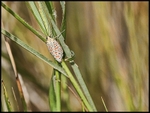 P1091391