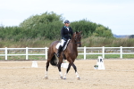 SBM_014213