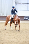 SBM_000740