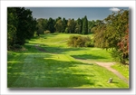 18th - Beechwood