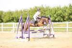 SBM_001295