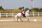 SBM_004208