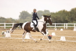 SBM_004612