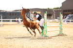 SBM_000909