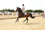 SBM_003714